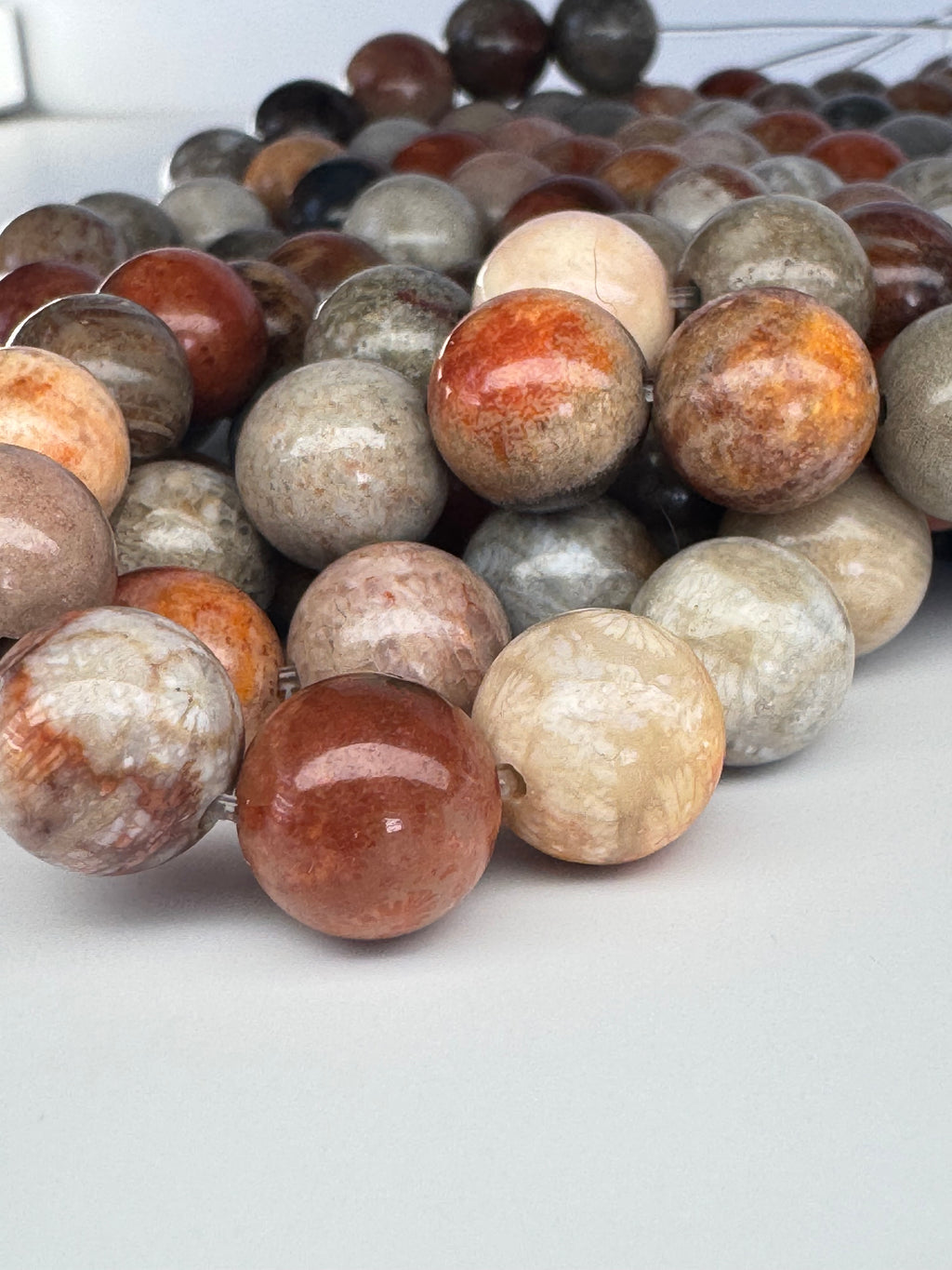 Fossil Coral Agate