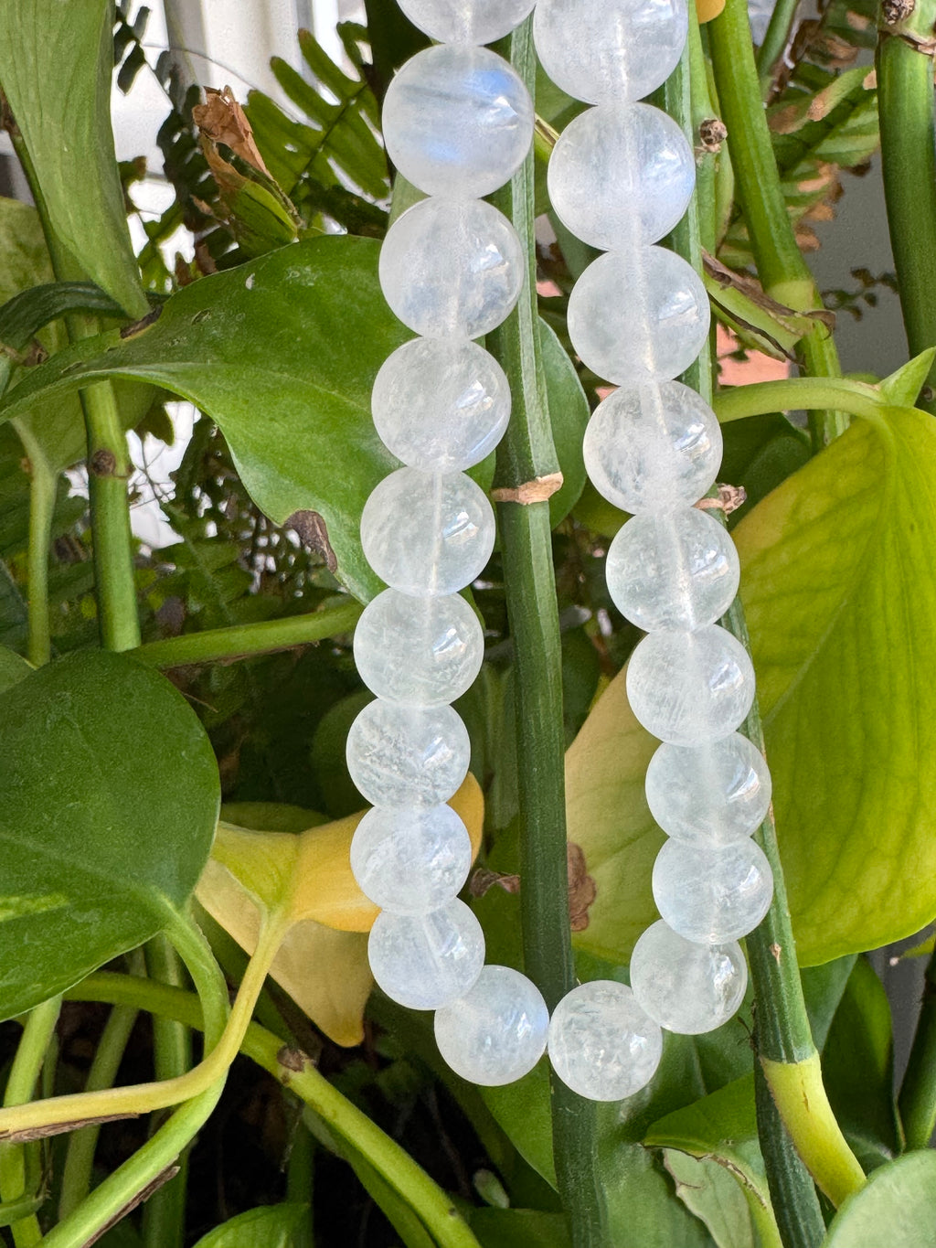 Sri Lankan Blue-Sheen Moonstone