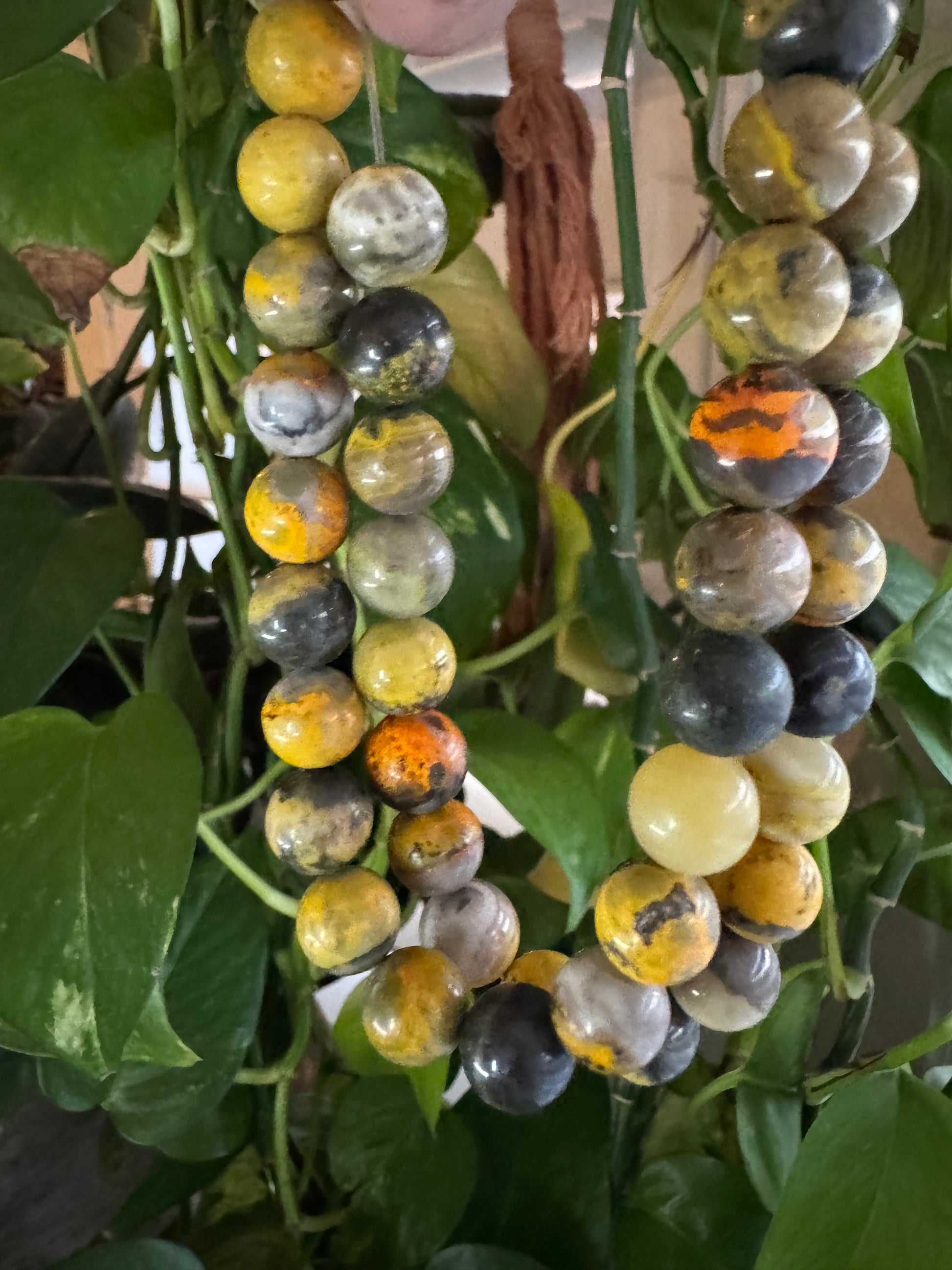 Bumblebee Jasper - Collectible!!!