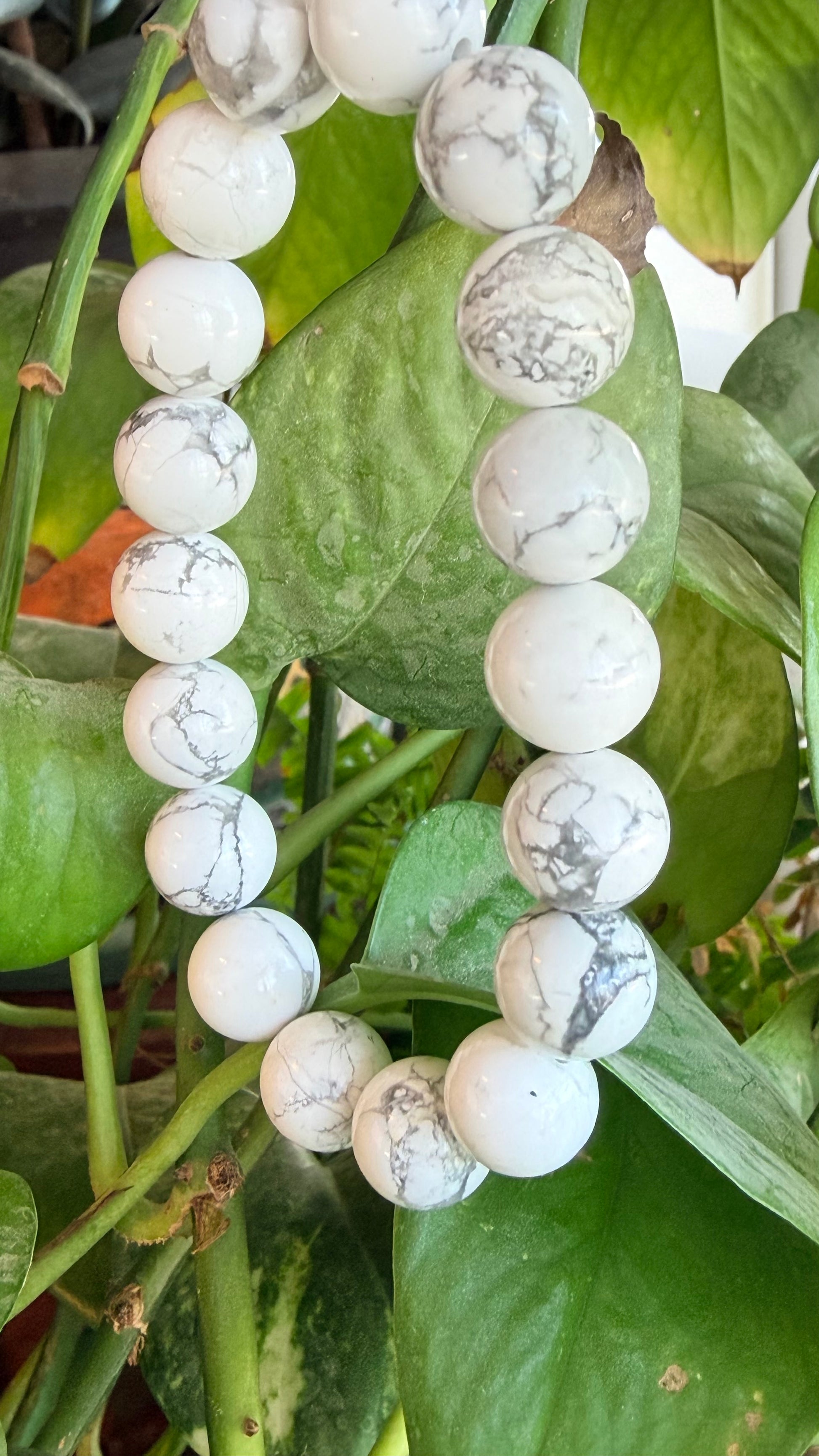 Howlite
