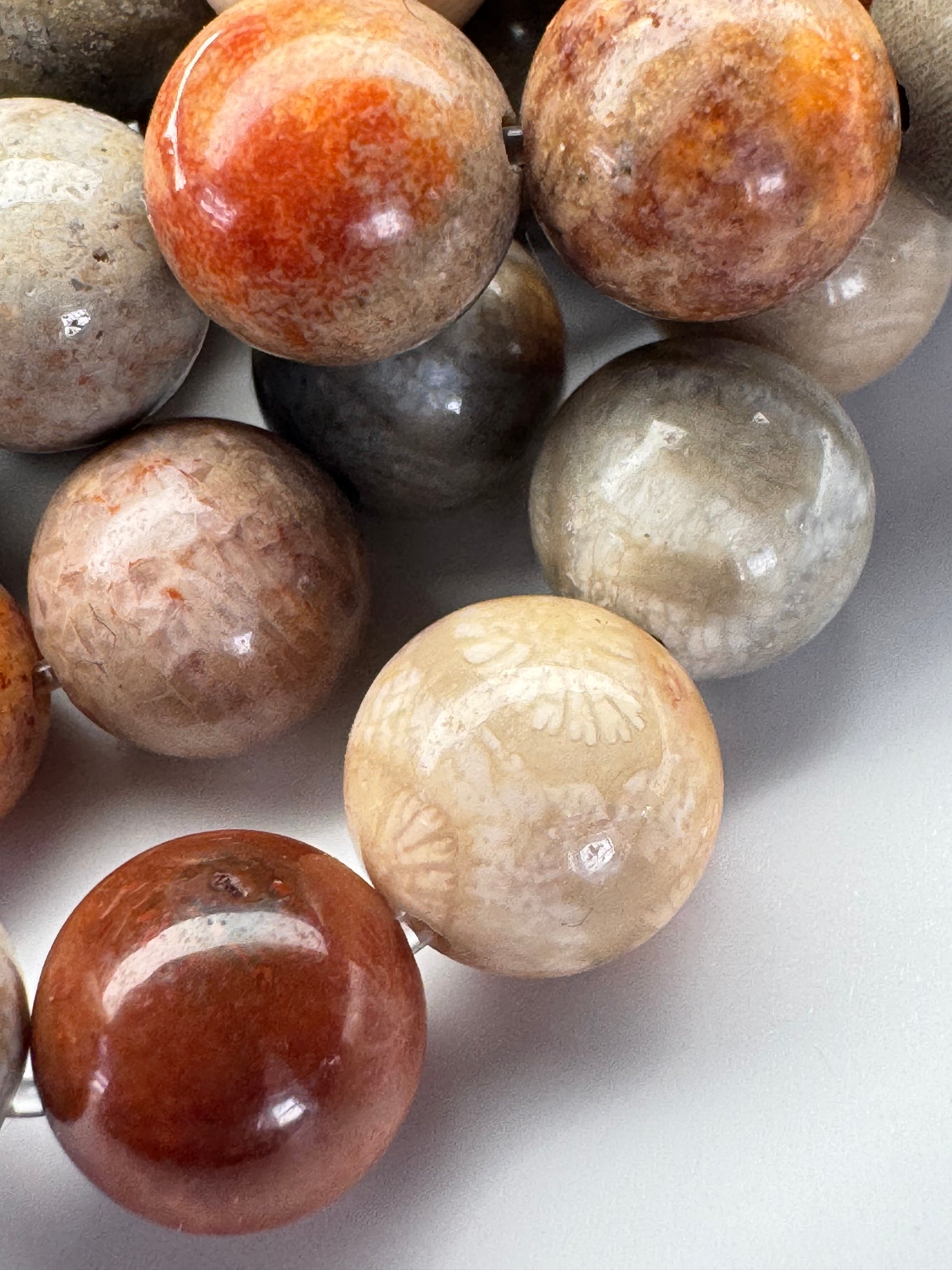 Fossil Coral Agate