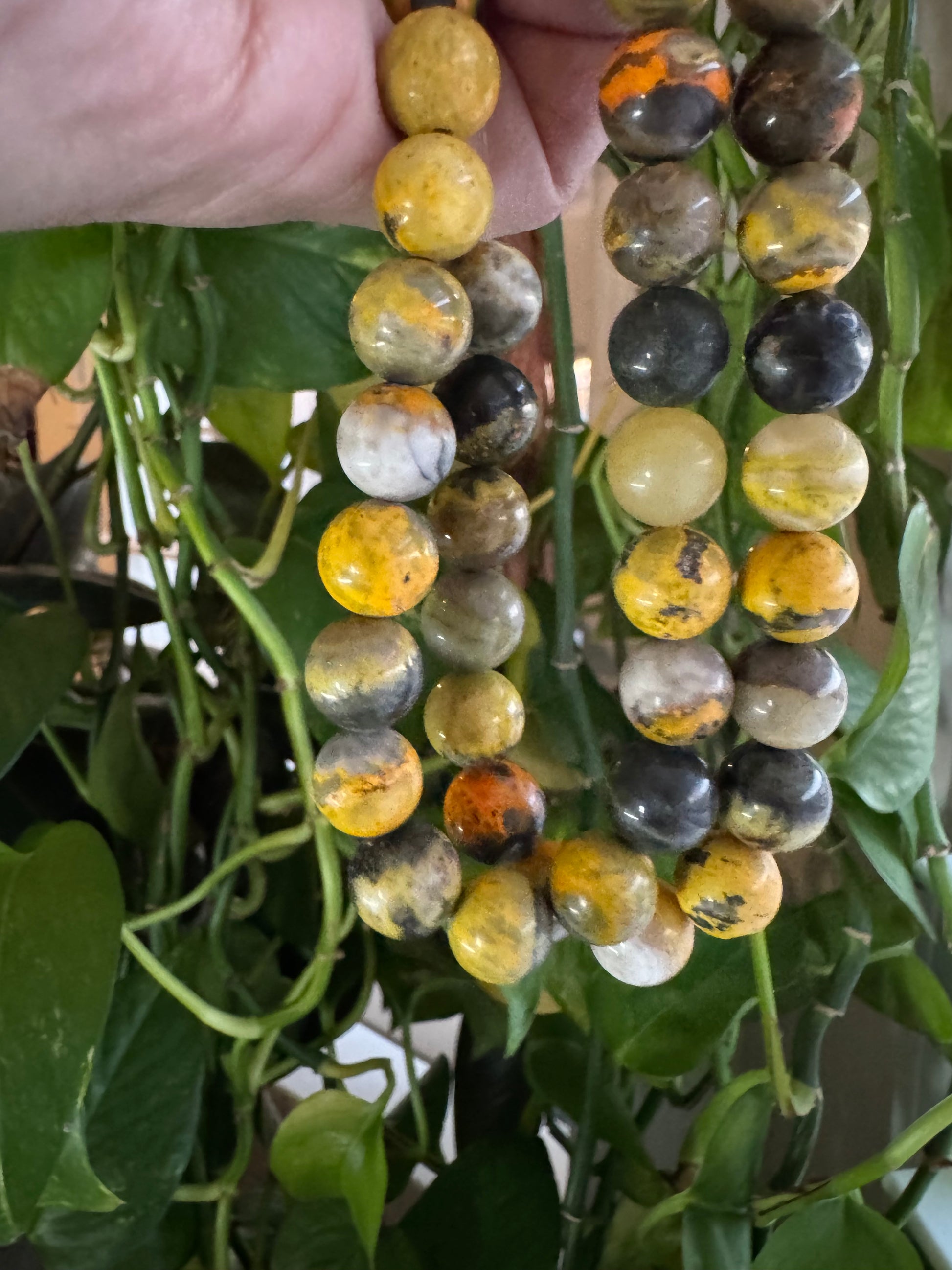 Bumblebee Jasper - Collectible!!!