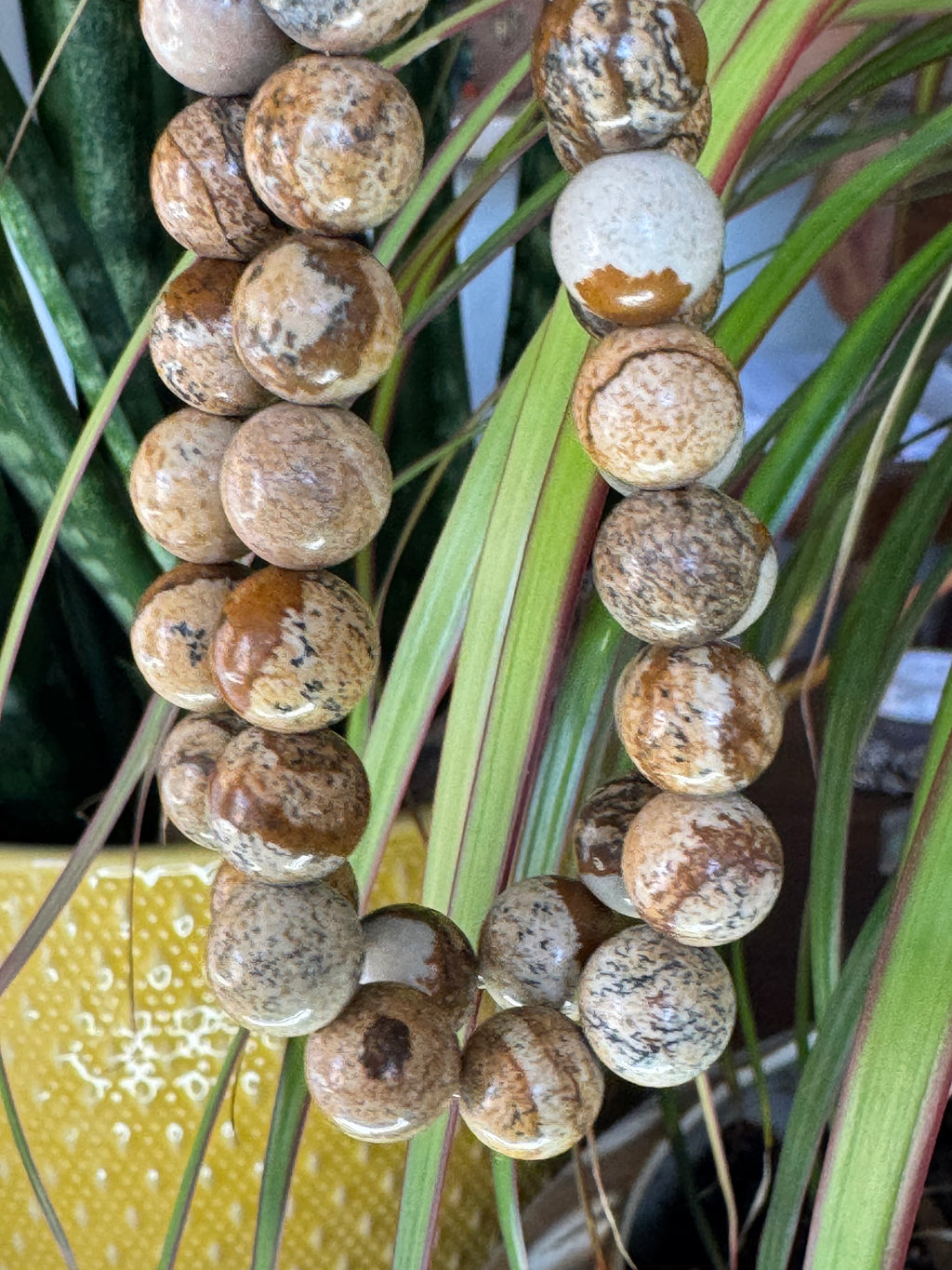 High-Grade Natural Picture Jasper