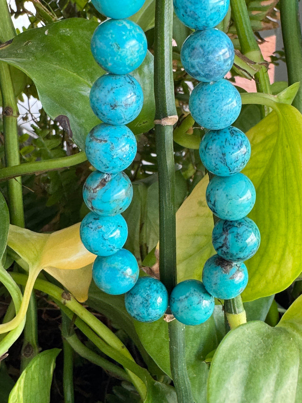 Nacozari Turquoise  11.5mm - 12mm