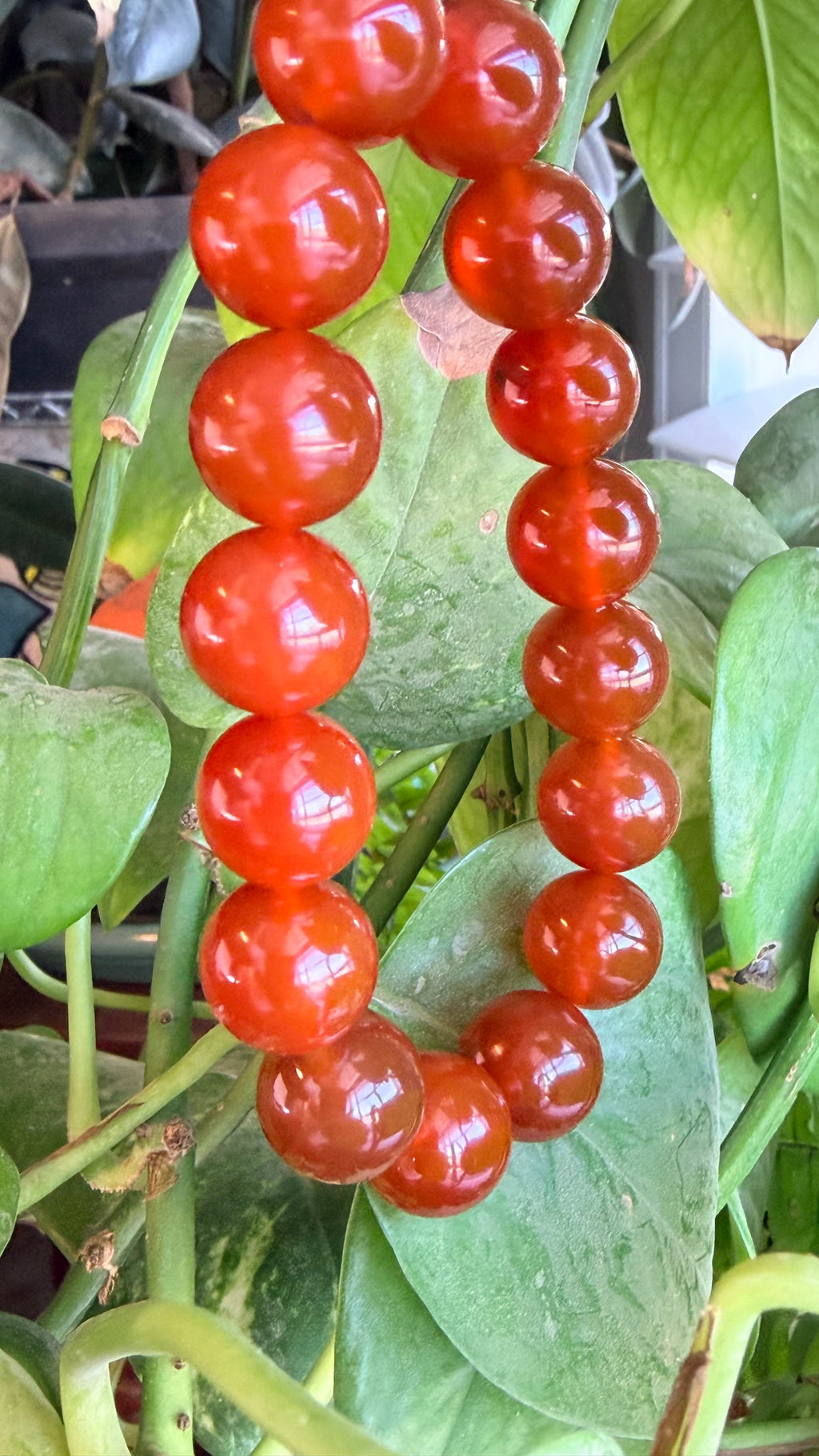 Carnelian - Untreated