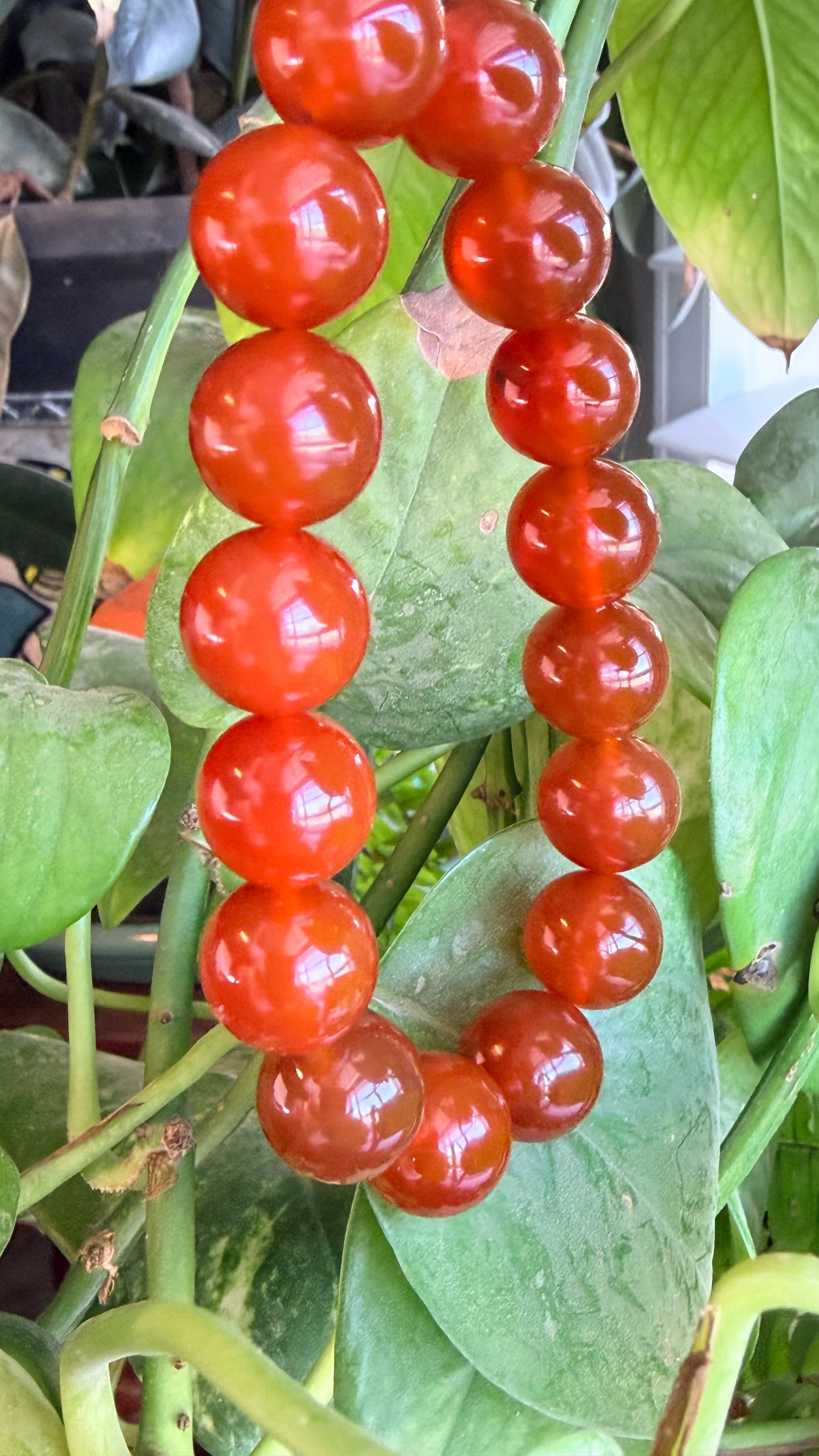 Carnelian - Untreated