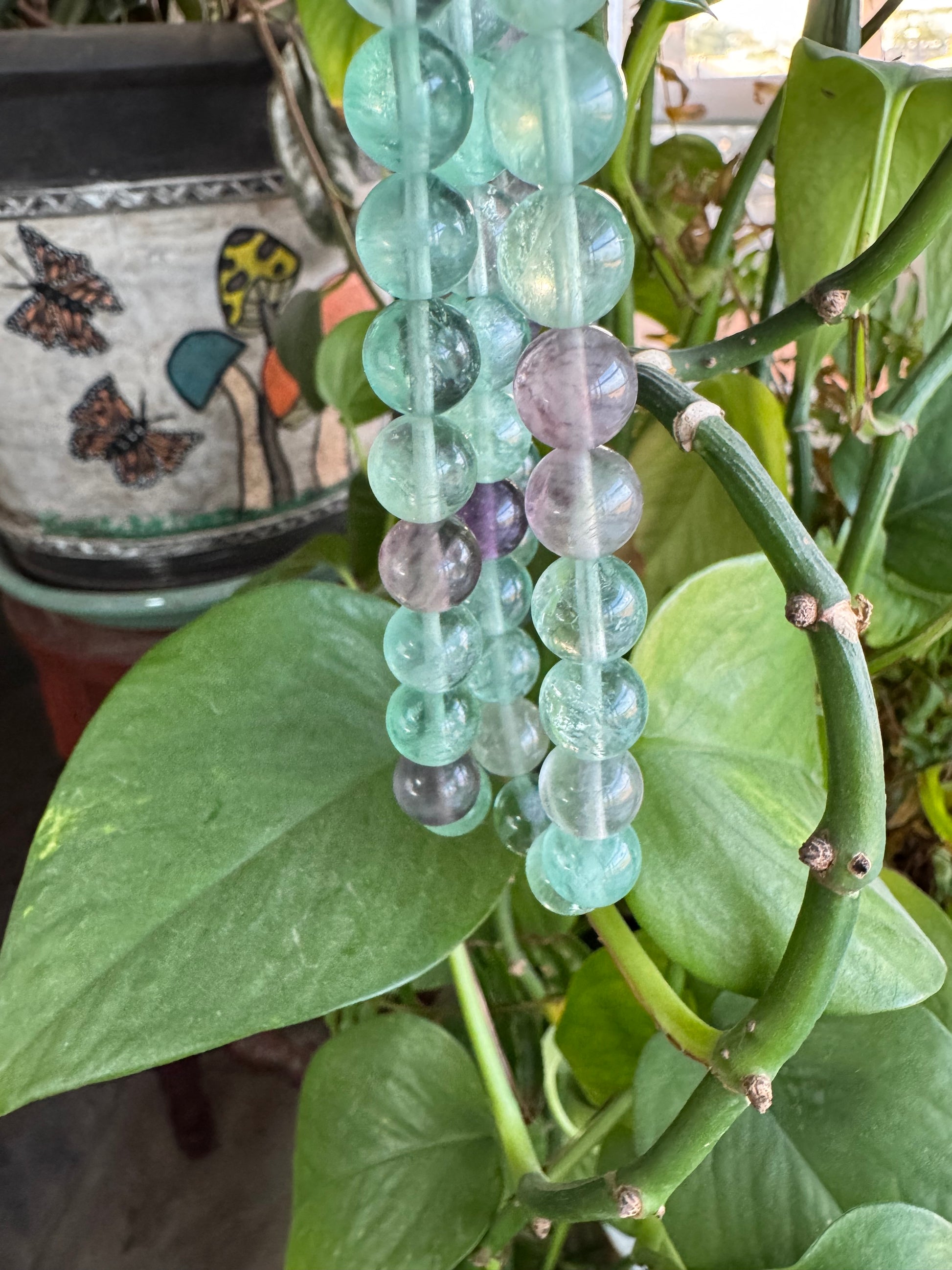 Rainbow (and Green) Fluorite