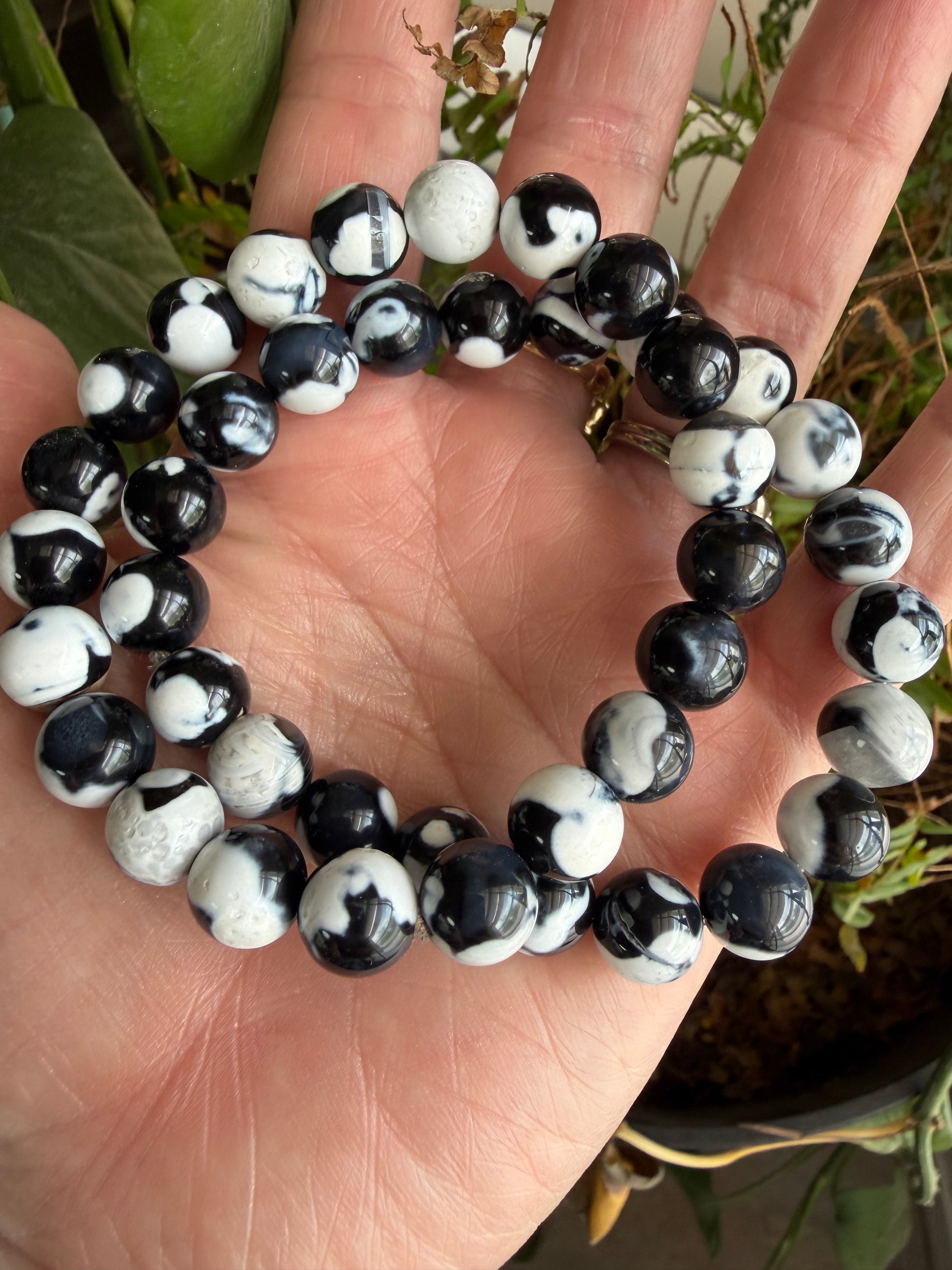 Madagascar Orca Agate