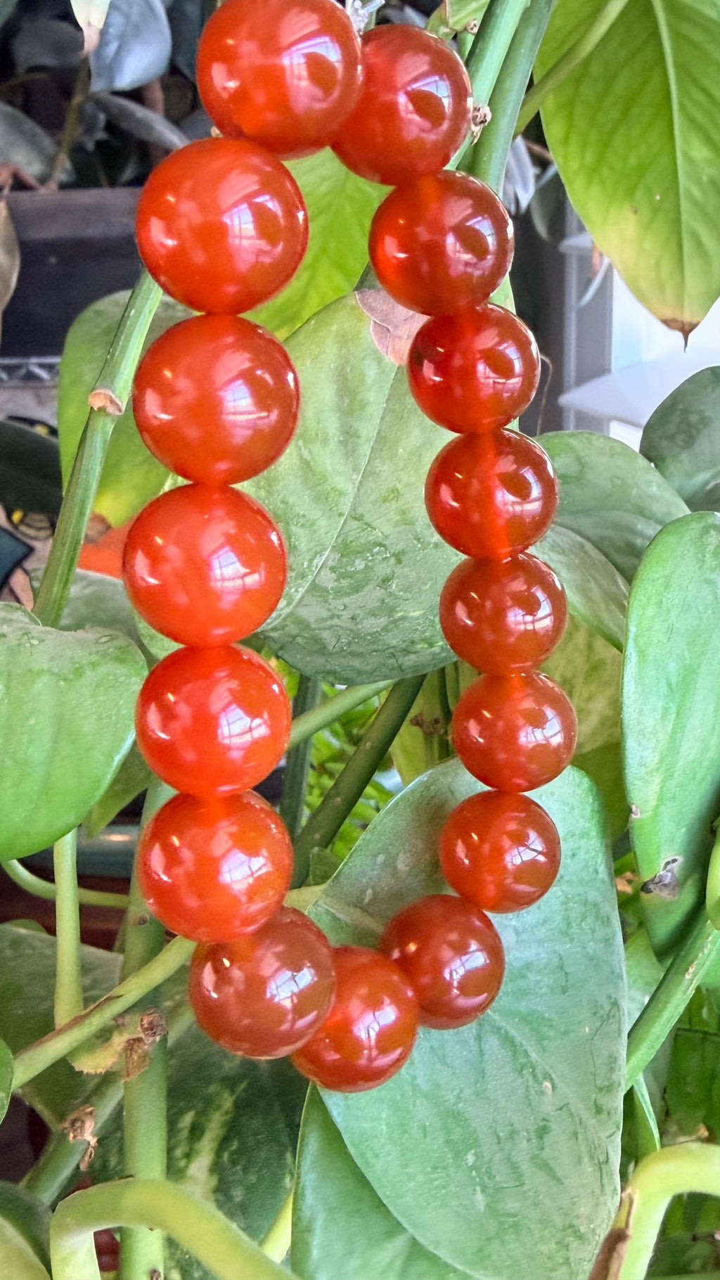 Carnelian - Untreated