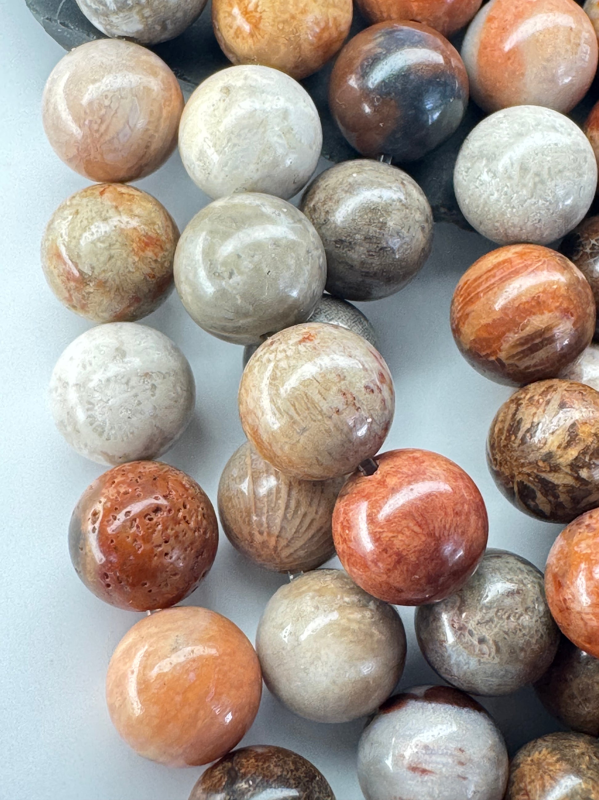 Fossil Coral Agate