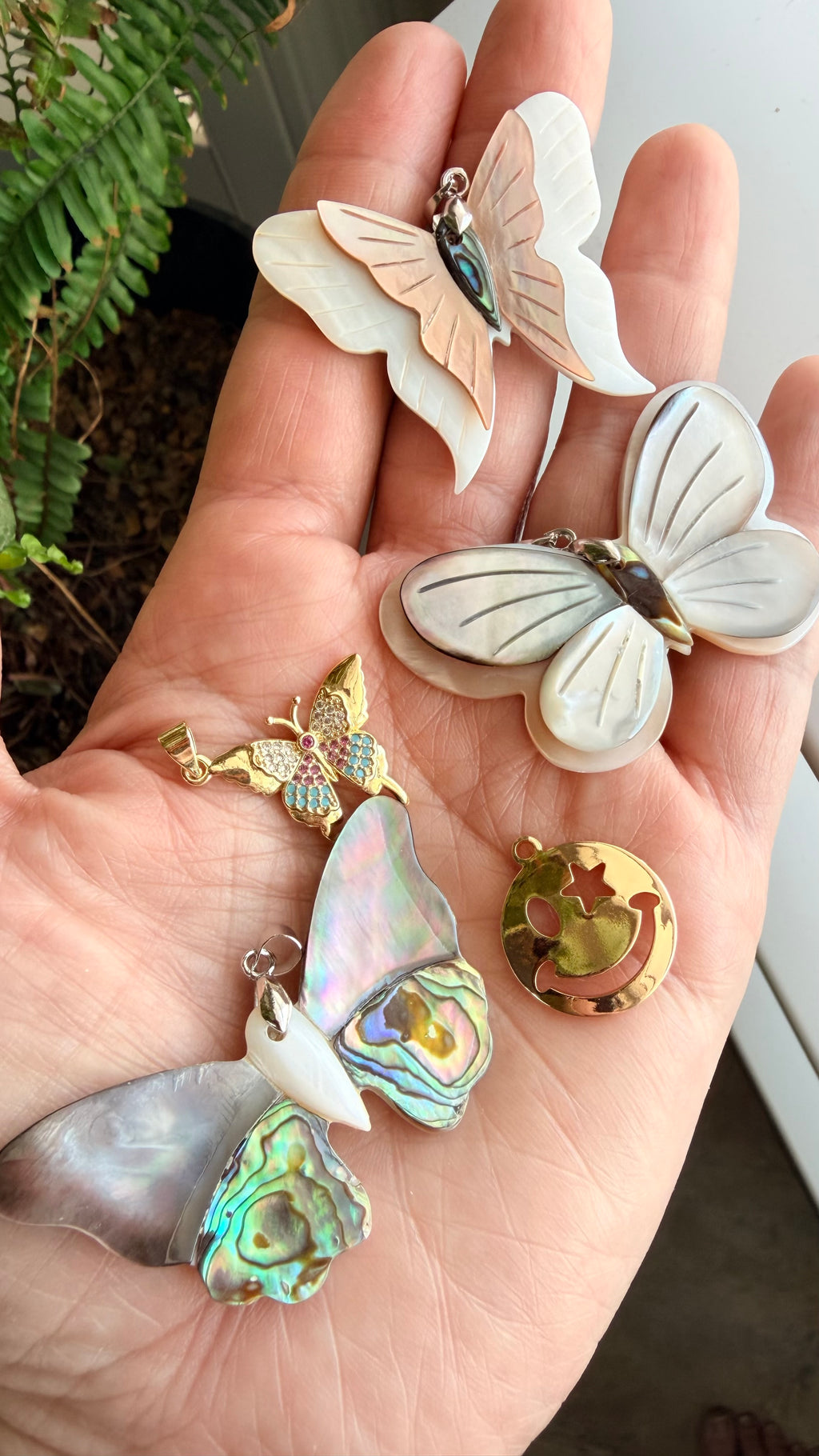 Patricia Inspired Collection