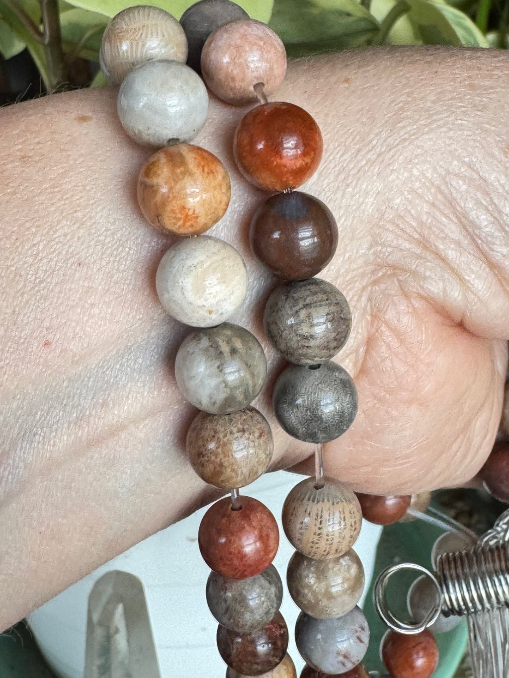 Fossil Coral Agate