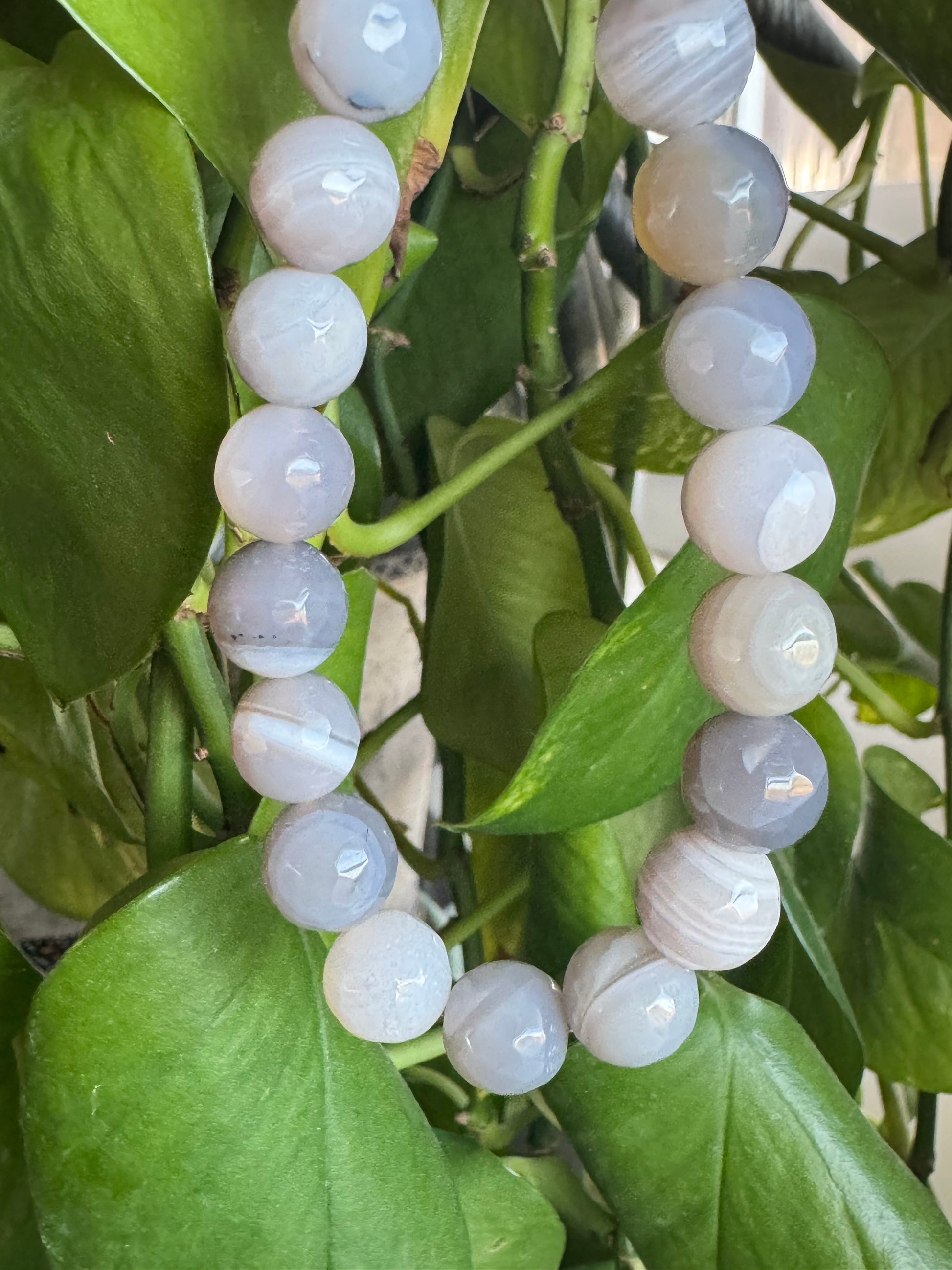 Gray Faceted Botswana Agate
