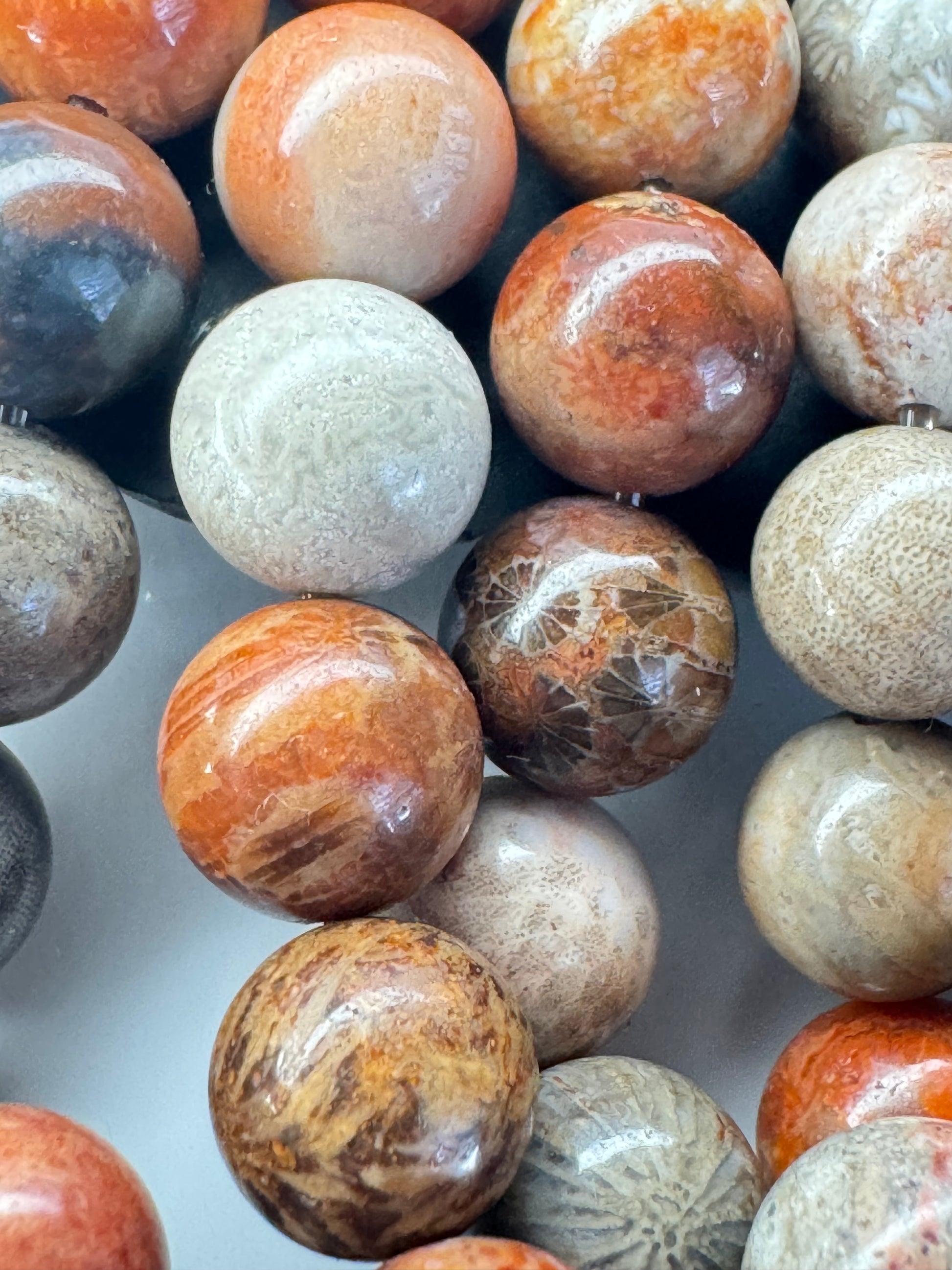 Fossil Coral Agate