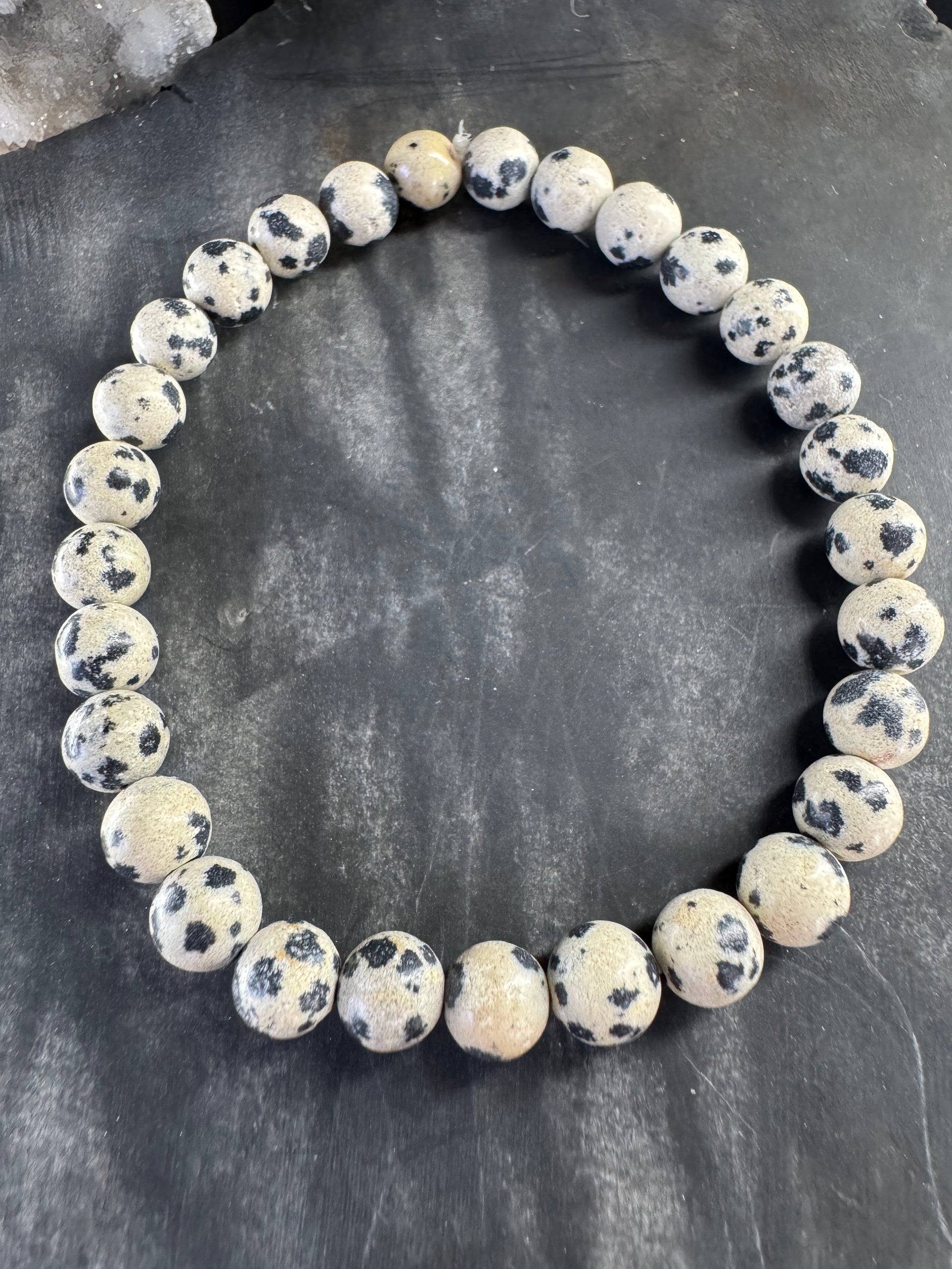 Dalmatian Jasper