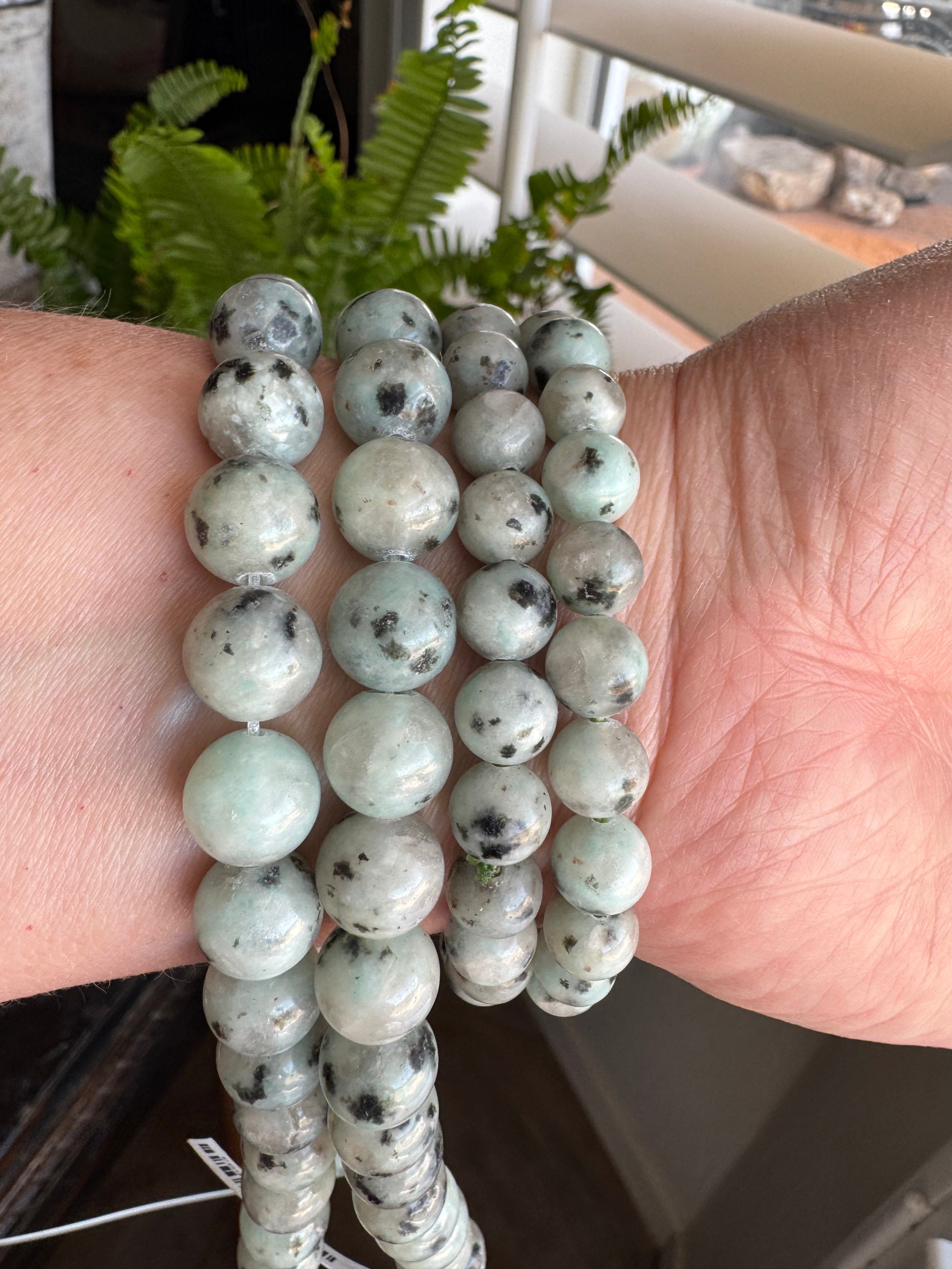 Sesame Kiwi Jasper