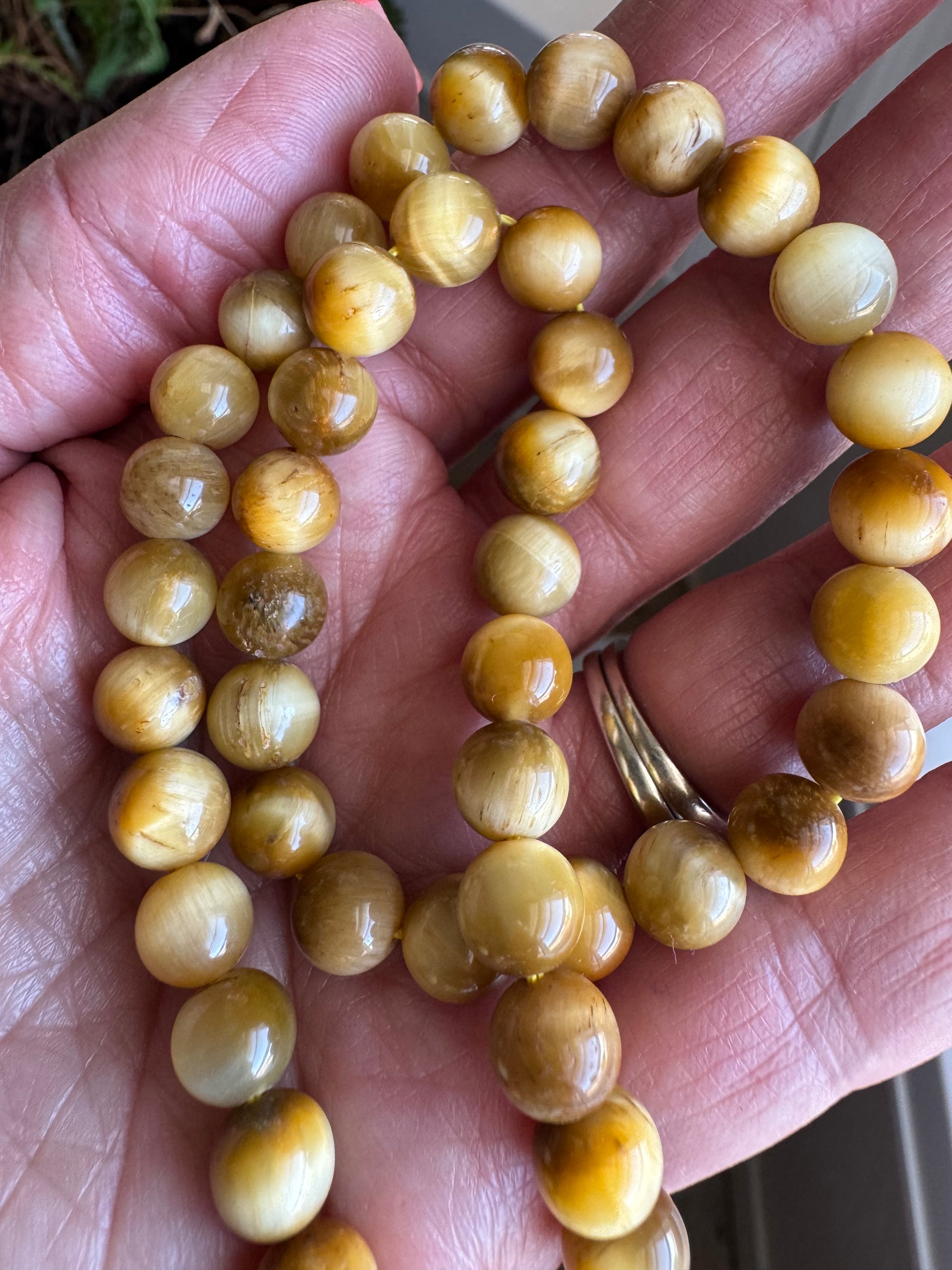 Golden Tiger's Eye