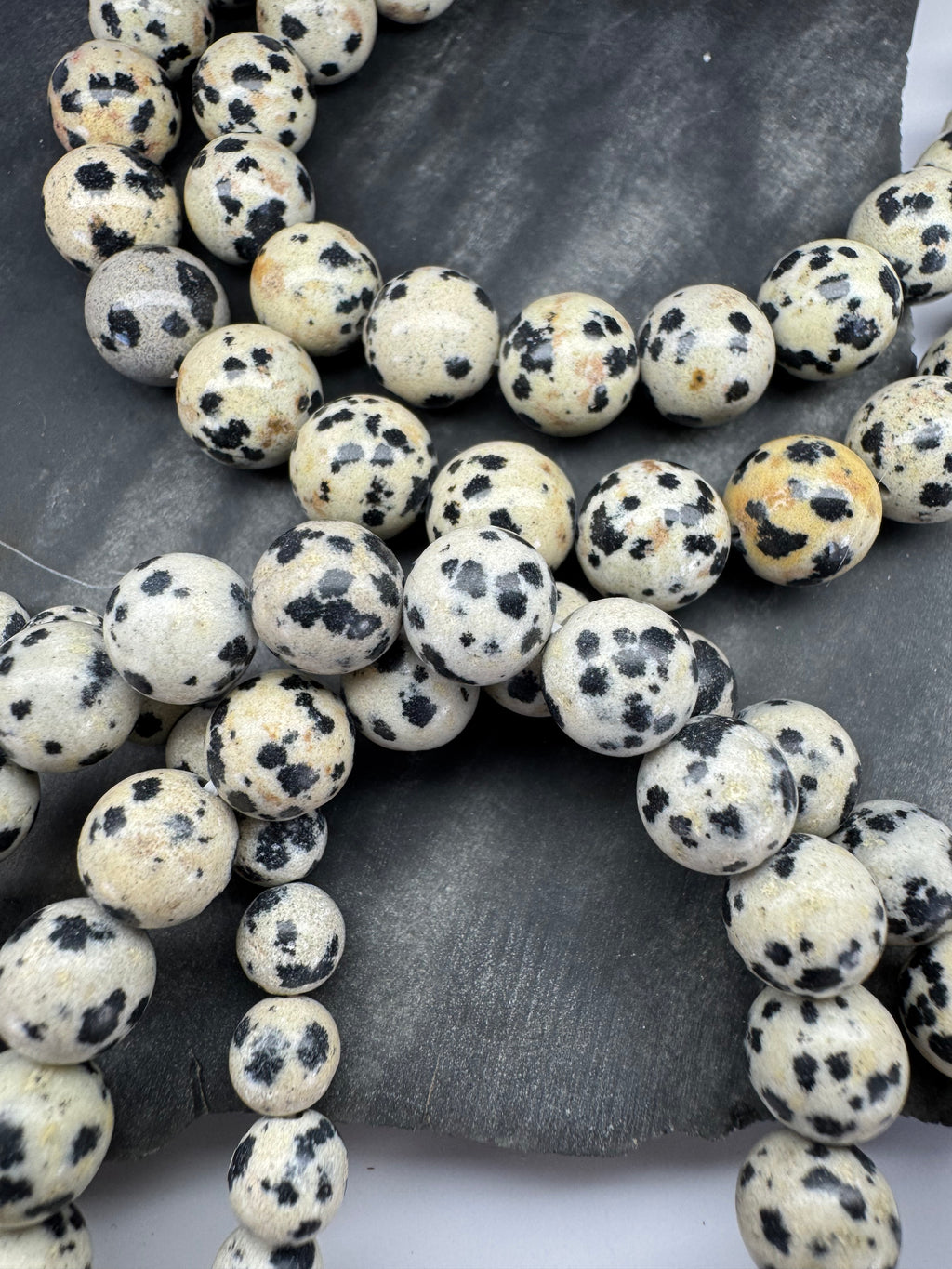 Dalmatian Jasper